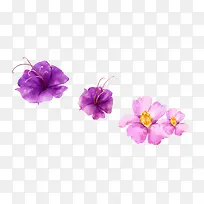 水彩紫色花朵-空若网 水彩紫色花朵-空若网