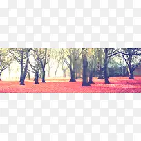 �＾����-������