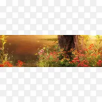 秋季金色背景-空若网 秋季金色背景-空若网