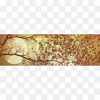 秋季夜空背景-空若网 秋季夜空背景-空若网