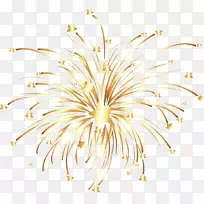 Adobe�̻�-�̻�-������