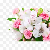 粉和白色花海-空若网 粉和白色花海-空若网