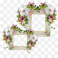 鲜花边框-空若网 鲜花边框-空若网