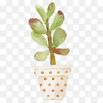 水彩绿色植物-空若网 水彩绿色植物-空若网