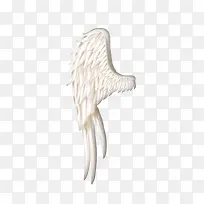 ������ʹ�İ�ɫ���-������