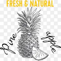 ²¤ÂÜËØÃèpngʸÁ¿ËزÄ-¿ÕÈôÍø ²¤ÂÜËØÃèpngʸÁ¿ËزÄ-¿ÕÈôÍø