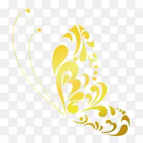 金色的蝴蝶-空若网 金色的蝴蝶-空若网