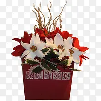 ��ͨ��ɫ��ɫ���Ի���-������