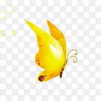 黄色蝴蝶-空若网 黄色蝴蝶-空若网