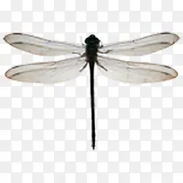 òßòÑËØ²Ä-¿ÕÈôÍø òßòÑËØ²Ä-¿ÕÈôÍø