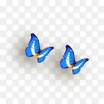 蝴蝶-空若网 蝴蝶-空若网