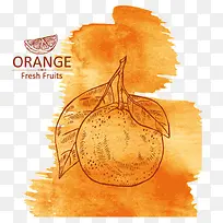 橘子水彩装饰-空若网 橘子水彩装饰-空若网