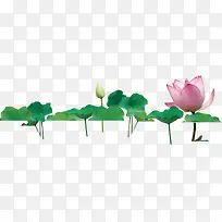 清新莲花莲叶创意-空若网 清新莲花莲叶创意-空若网