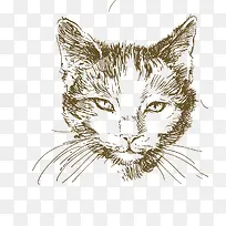 卡通可爱小动物装饰设计动物头像-空若网 卡通可爱小动物装饰设计动物头像-空若网