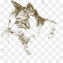 ��ͨ�ɰ�С����װ����ƶ���ͷ��-������