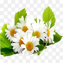 °Ù»¨-¿ÕÈôÍø °Ù»¨-¿ÕÈôÍø