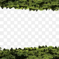 草坪-空若网 草坪-空若网