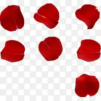 红色玫瑰花瓣-空若网 红色玫瑰花瓣-空若网