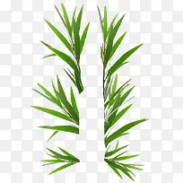 ������Ҷǧ��Ҷ���޲���-������