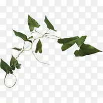 草-空若网 草-空若网