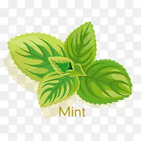 �ֻ污��-������