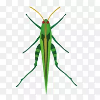 �ȳ��ó�������ݻȳ�-������