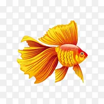 卡通手绘矢量金鱼-空若网 卡通手绘矢量金鱼-空若网