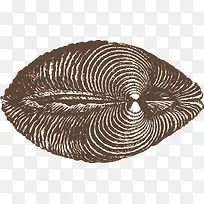 �ԳƵ����-������