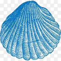 ��ɫ���-������