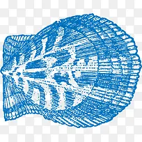 生蚝纹理-空若网 生蚝纹理-空若网