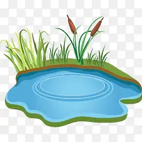 湖边的小草-空若网 湖边的小草-空若网