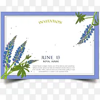 ��ɫ���-������