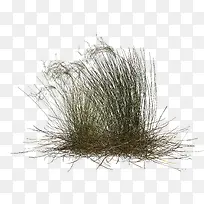 草-空若网 草-空若网