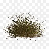 草-空若网 草-空若网