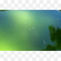 ��Ⱦ��ˮ�汳��-������