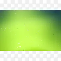 绿色清水背景-空若网 绿色清水背景-空若网