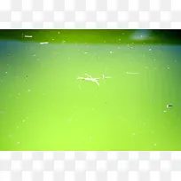 水纹背景底纹-空若网 水纹背景底纹-空若网