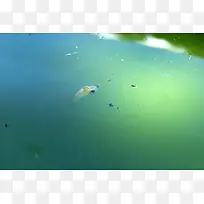 ��Ⱦ��ˮ�汳��-������