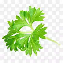 网页设计食谱网站Tempeh图标-欧芹叶-空若网 网页设计食谱网站Tempeh图标-欧芹叶-空若网