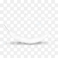 白色羽毛-空若网 白色羽毛-空若网