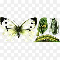 装饰素材-空若网 装饰素材-空若网