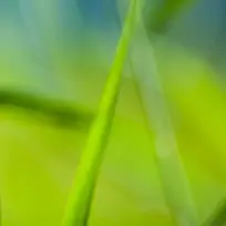 ÃλòÝÒ¶±³¾°-¿ÕÈôÍø ÃλòÝÒ¶±³¾°-¿ÕÈôÍø