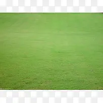草坪背景-空若网 草坪背景-空若网