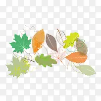 手绘各种叶子-空若网 手绘各种叶子-空若网
