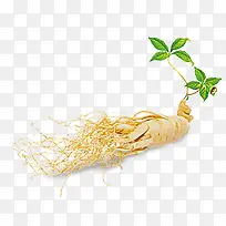 产品实物元素-空若网 产品实物元素-空若网