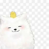 可爱肥猫-空若网 可爱肥猫-空若网