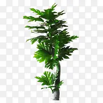 仿真咖啡树图片素材-空若网 仿真咖啡树图片素材-空若网