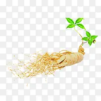 �˲β�ҩ����ز��������-������