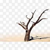 ����-������