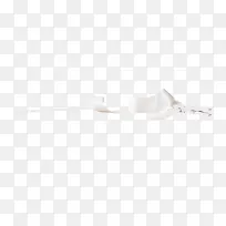 白色木夹子布条-空若网 白色木夹子布条-空若网